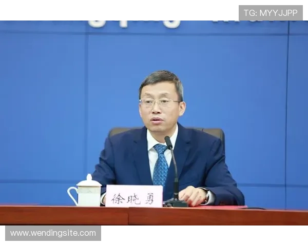 问鼎中国电子行业的国际竞争格局与出口市场拓展策略