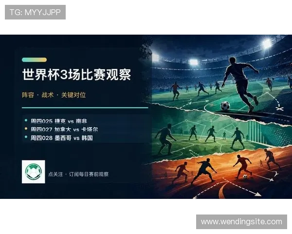 南非VS捷克比赛经验分享：球队战术调整与关键球员表现分析